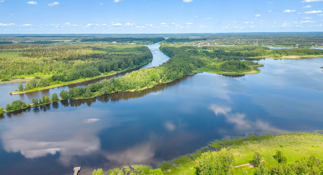 Пяловский