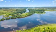 Пяловский