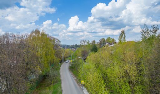 Куркино