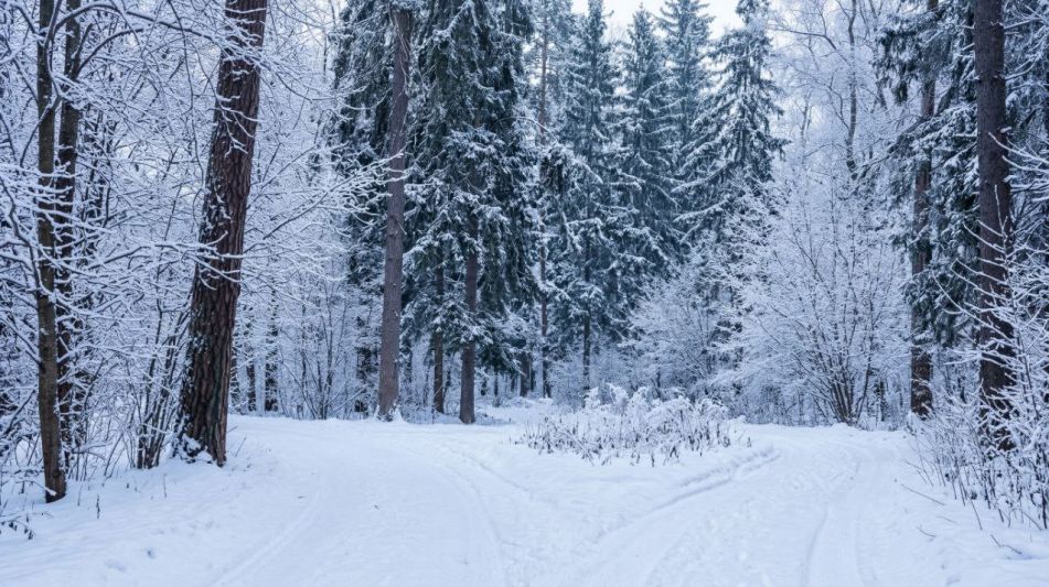 Готовый дом в КП Горки-1 (Дрофа)