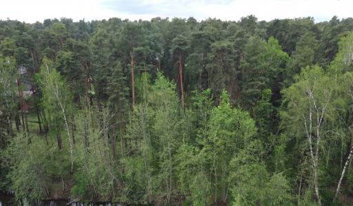 Участок у воды в КП Сосновом Бор