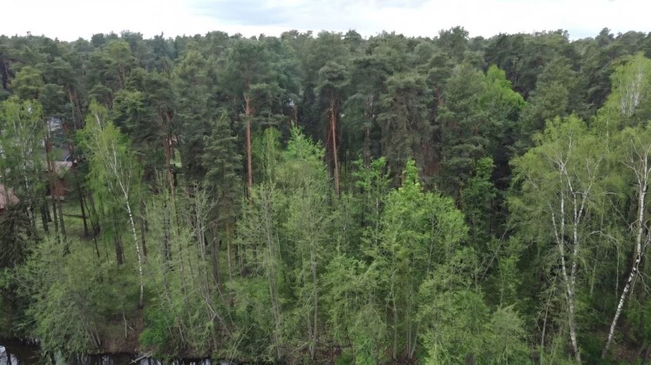 Участок у воды в КП Сосновом Бор