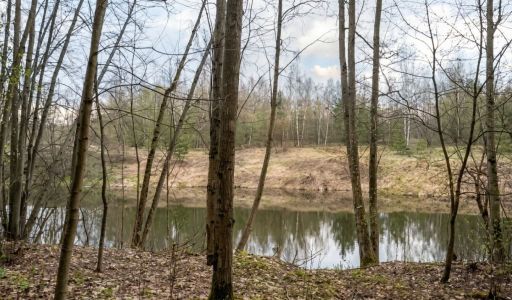 Участок у воды в КП Сосновом Бор