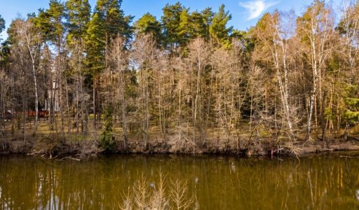 Участок у воды в КП Сосновом Бор