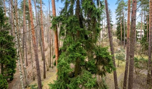 Участок у воды в КП Сосновом Бор