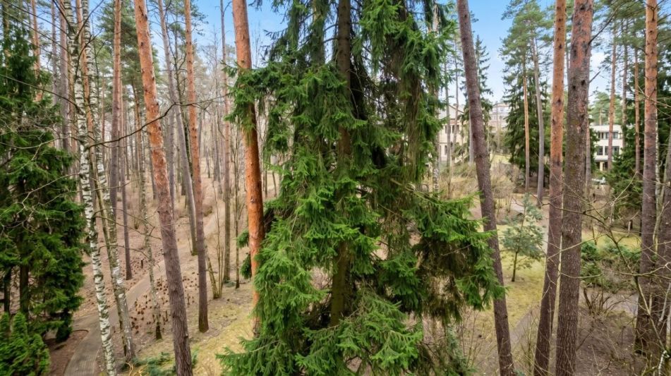 Участок у воды в КП Сосновом Бор