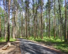 Участок у воды в Завидово Кантри