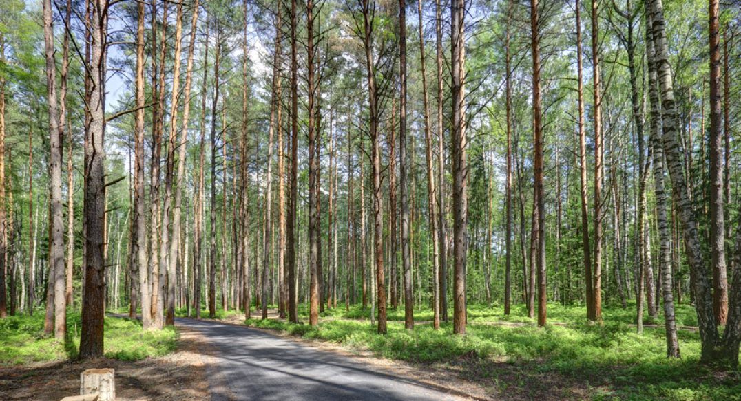 Завидово Гольф