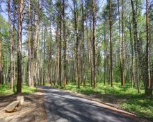 Завидово Гольф