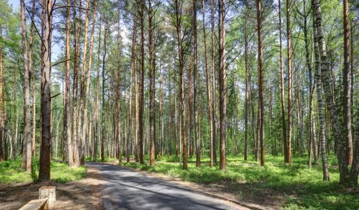 Завидово Гольф