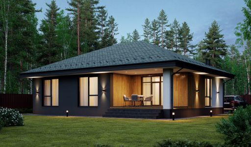 Одноэтажный дом у леса в Сходне