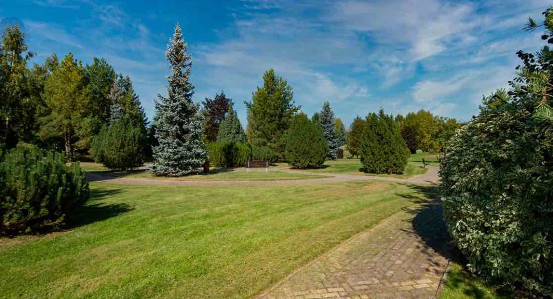 Миллениум Парк