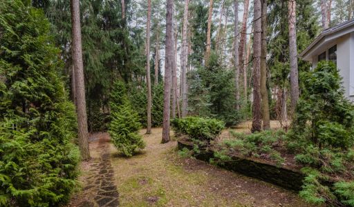 Дом в КП Сосновый бор