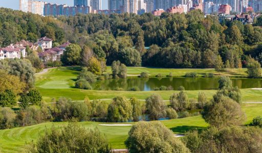 Лесной участок в Новогорске