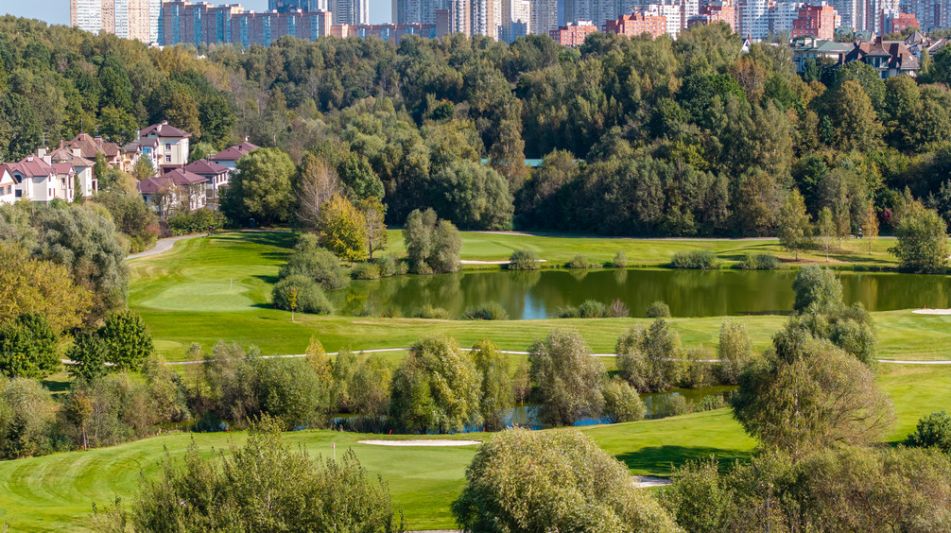 Лесной участок в Новогорске