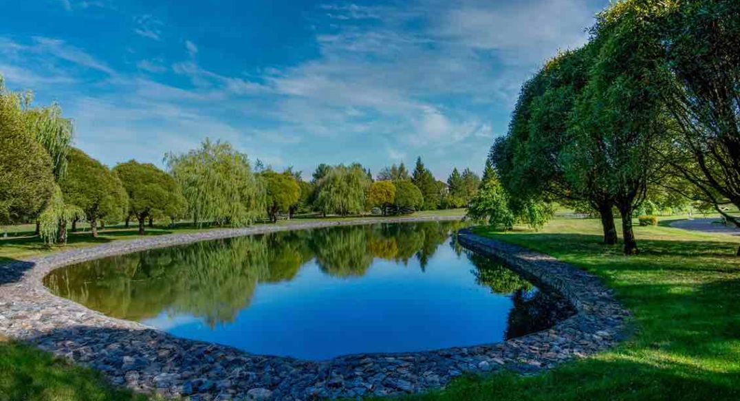 Миллениум Парк