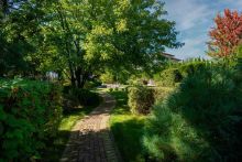 Миллениум Парк