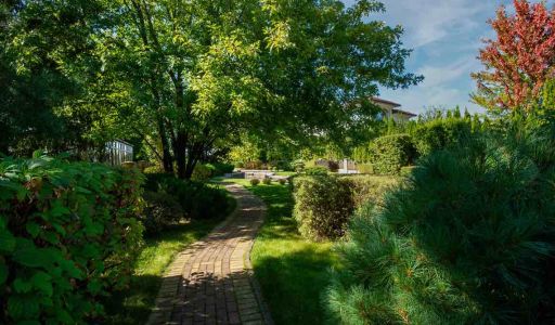 Миллениум Парк