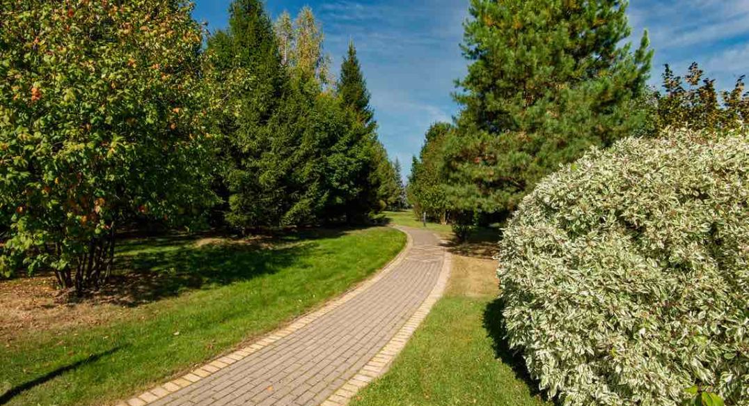 Миллениум Парк