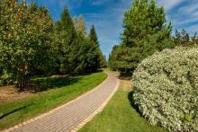 Миллениум Парк