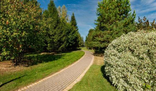 Миллениум Парк