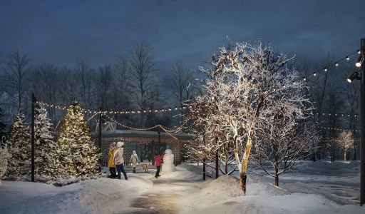 Кристал Форест