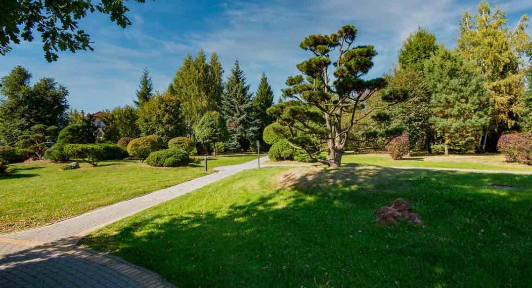 Миллениум Парк