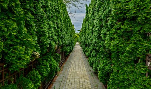 Таунхаус в КП Парк Авеню