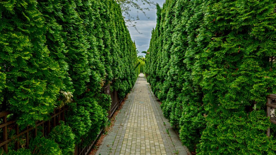 Таунхаус в КП Парк Авеню