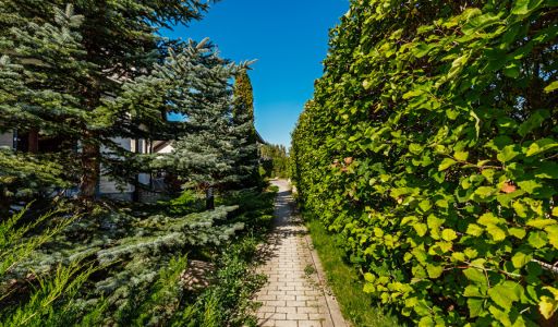 Новый дом в КП Миллениум парк