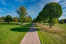 Миллениум Парк