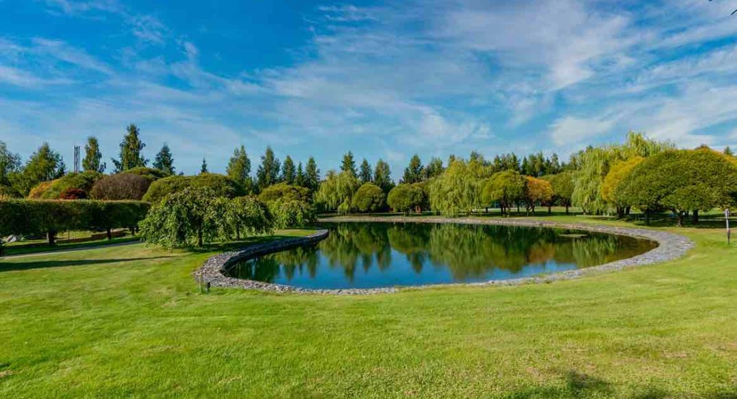 Миллениум Парк