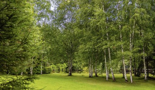 Дом в современном стиле в Ивакино