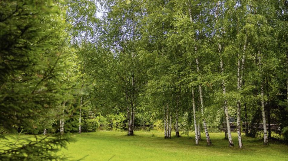 Дом в современном стиле в Ивакино