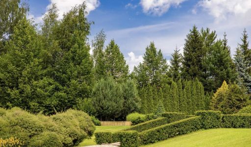 Дом в современном стиле в Ивакино