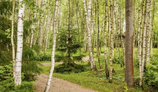 Дом в современном стиле в Ивакино