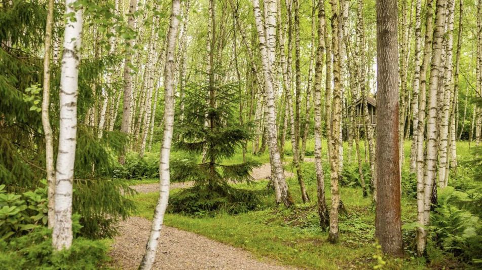 Дом в современном стиле в Ивакино