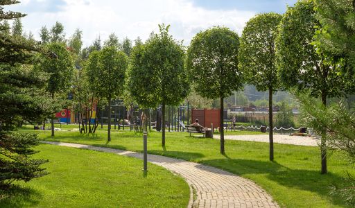 Покровский