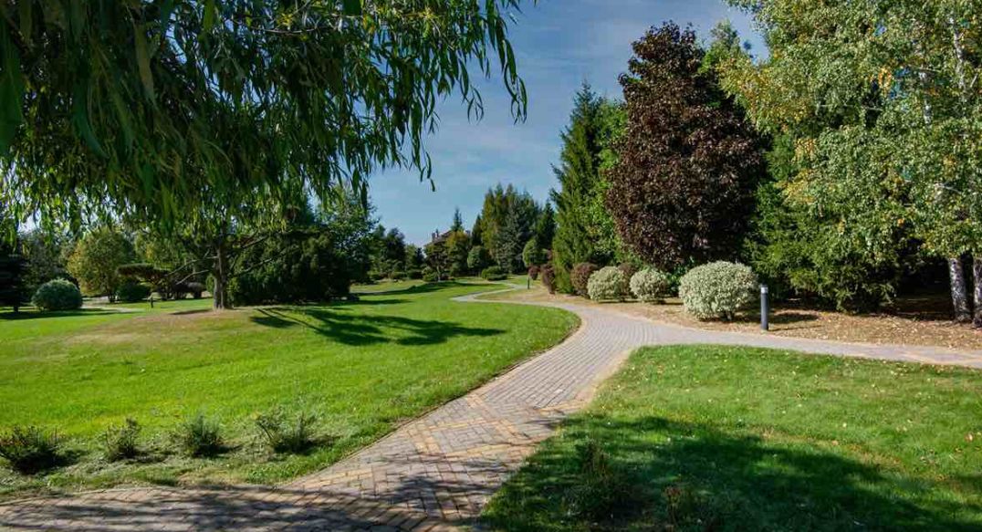 Миллениум Парк