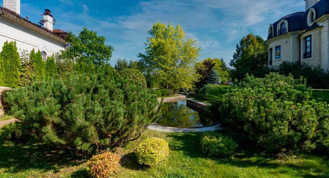 Миллениум Парк