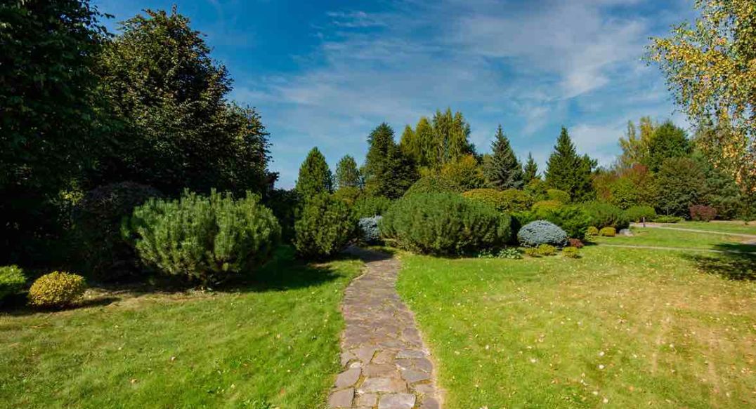 Миллениум Парк