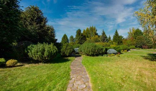 Миллениум Парк