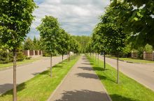 Дом в аренду в КП Пестово