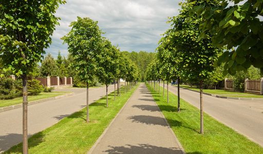 Дом в аренду в КП Пестово
