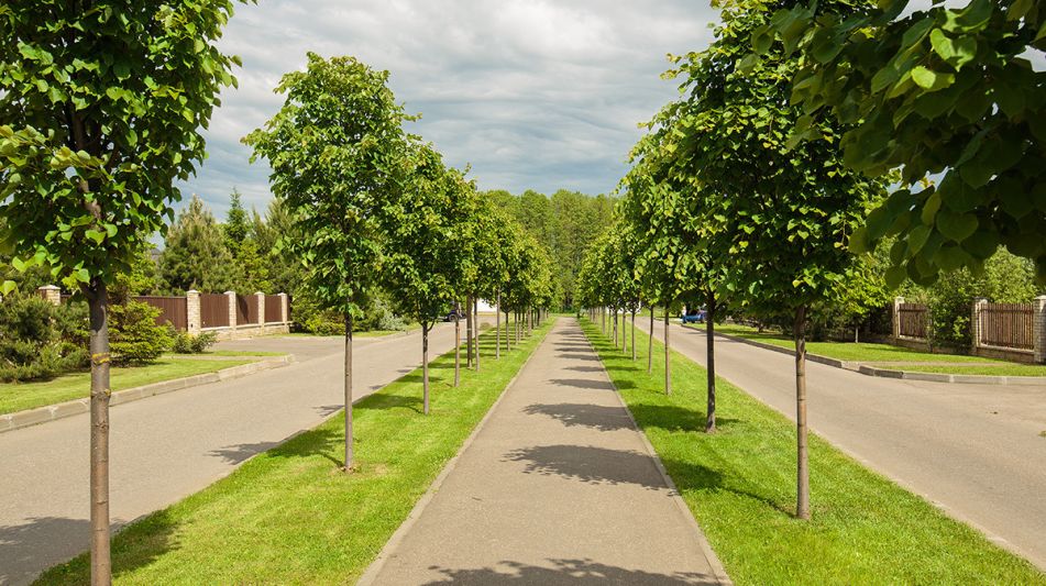 Дом в аренду в КП Пестово