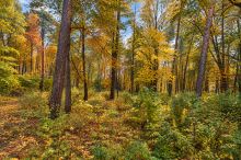 Участок в КП Серебрянные ручьи