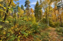 Участок в КП Серебрянные ручьи