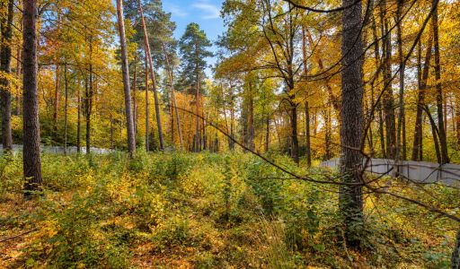 Участок в КП Серебрянные ручьи