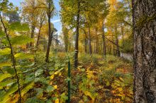 Участок в КП Серебрянные ручьи