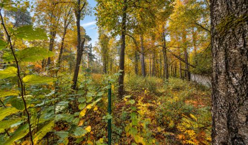 Участок в КП Серебрянные ручьи